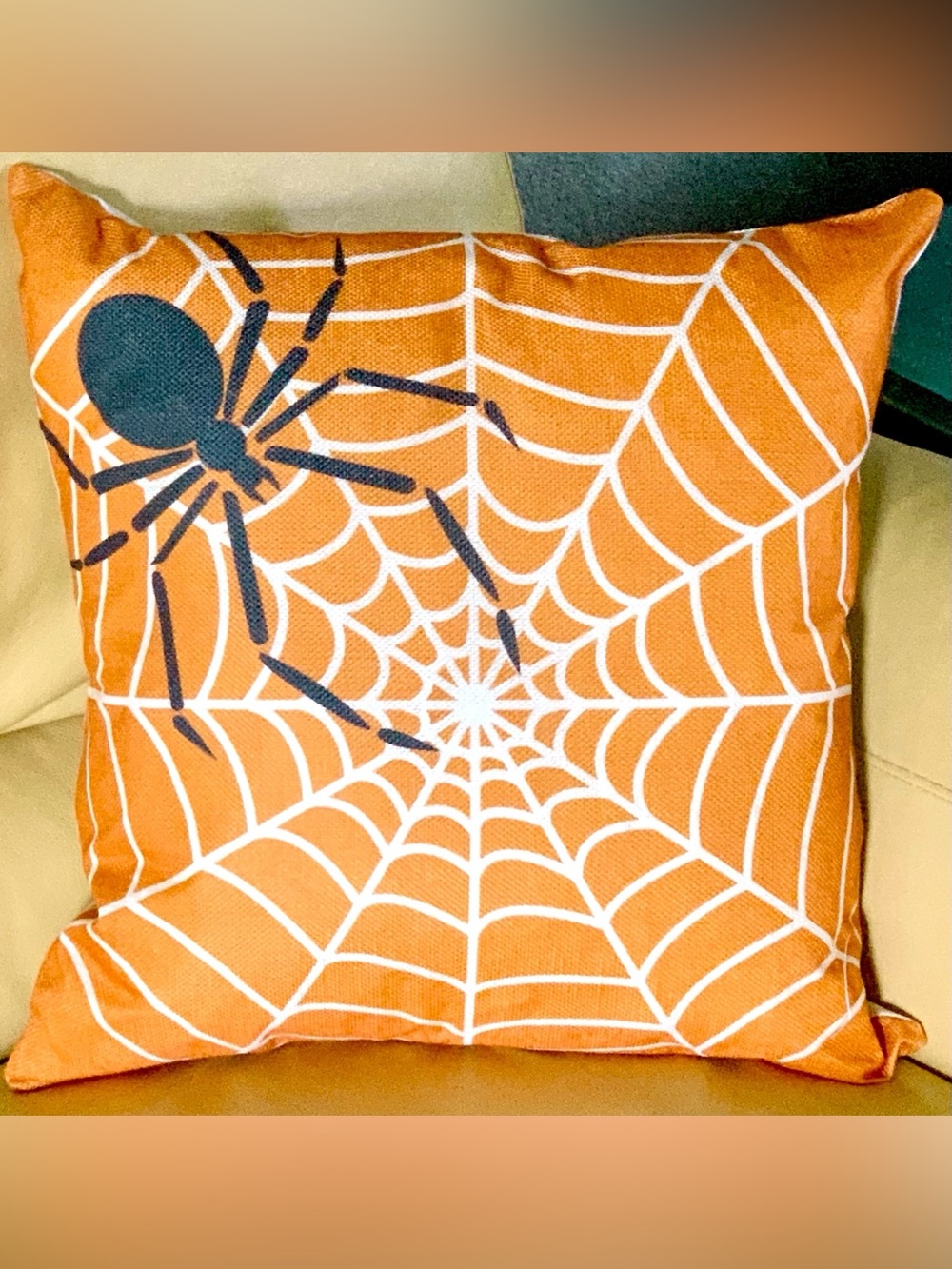 18x18 Spooky Halloween Decor Big Black Spider in Web Throw Pillow Cover New